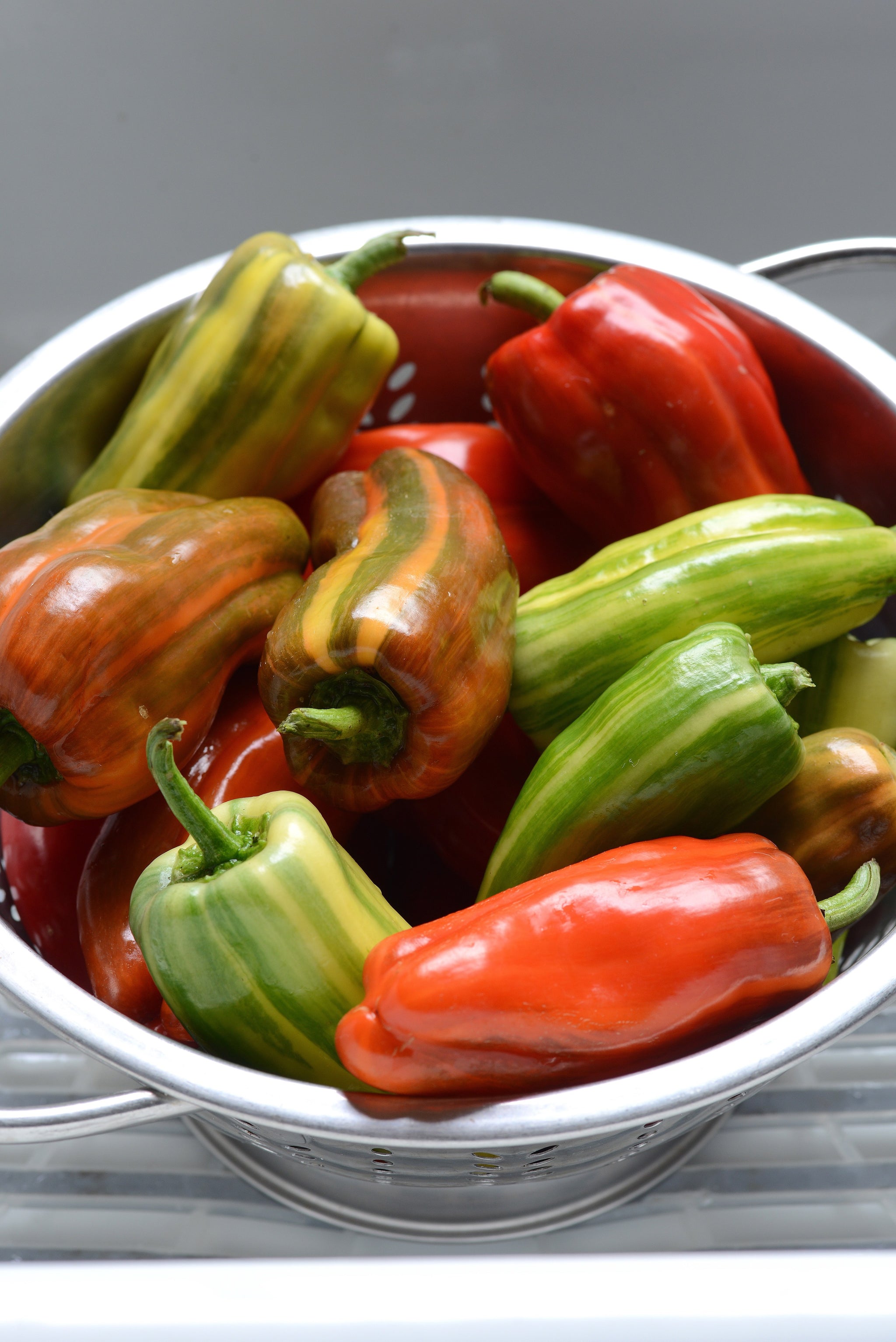 Capsicum Candy Cane F1 Hybrid