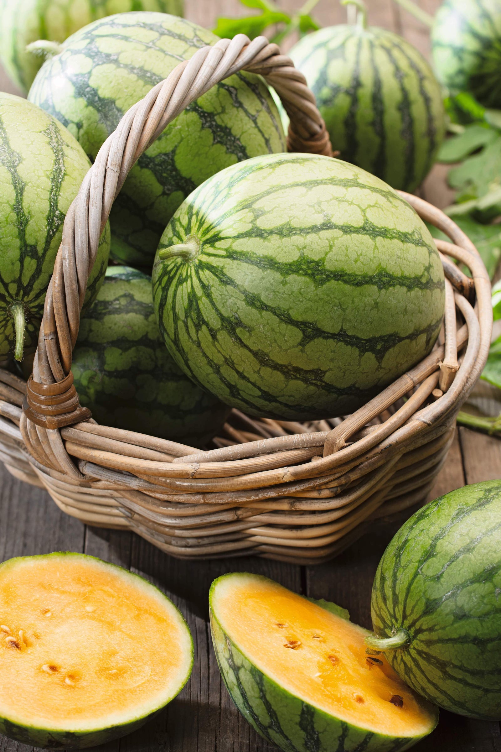 Melon - Watermelon Peace (Yellow) F1