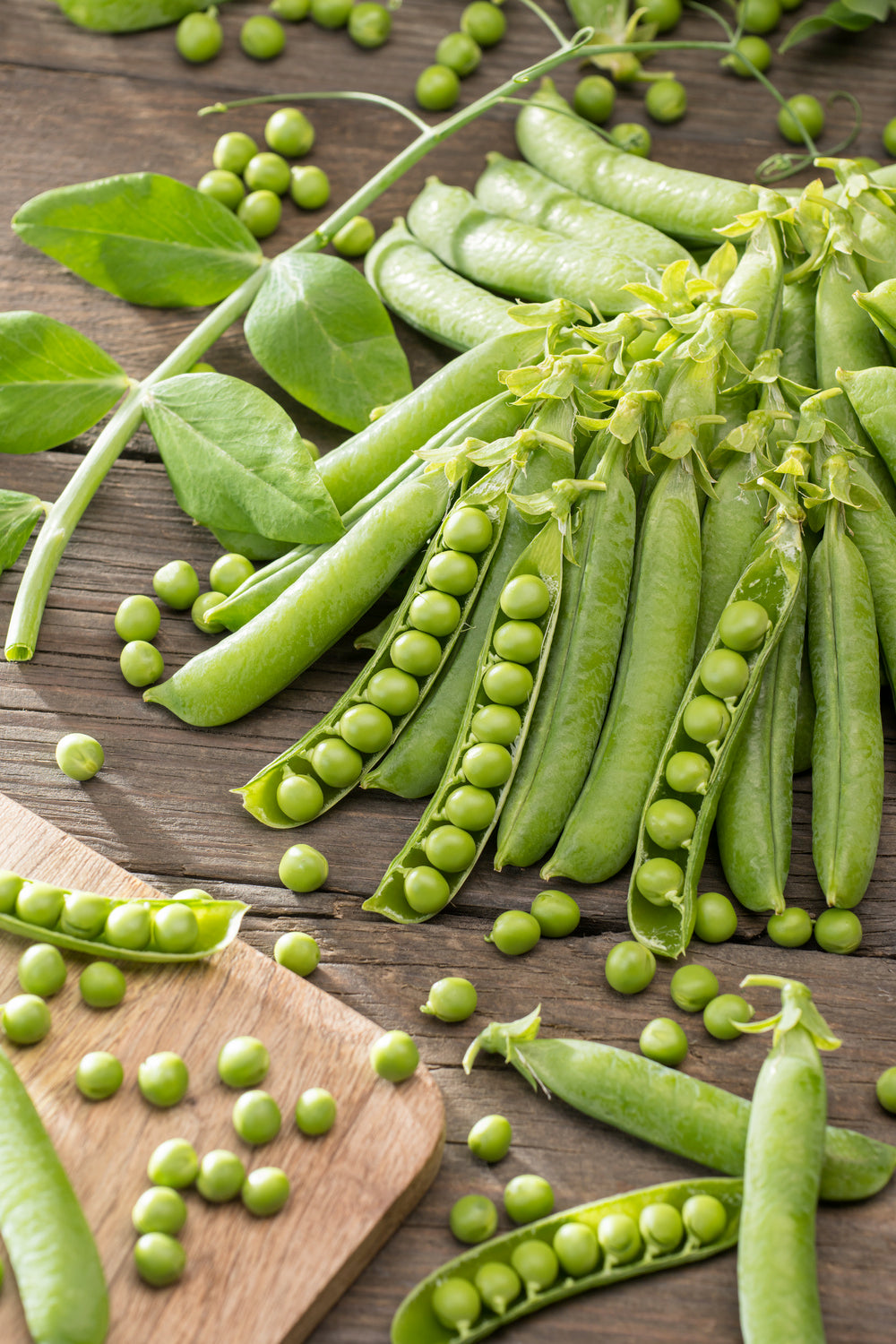 Peas Alderman