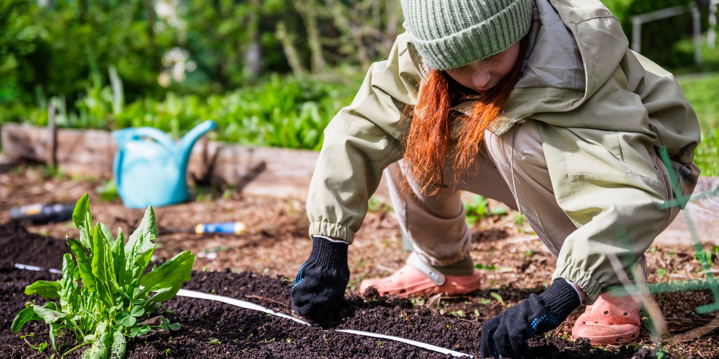 About Seed Tapes & Mats