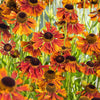 Helenium Helena Red Shades