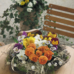 Pansy Cats Whiskers F1 Hybrid