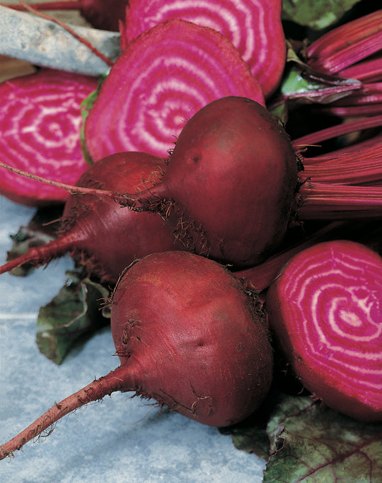 Beetroot Bulls Blood