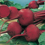Beetroot Detroit