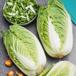 Cabbage - Chinese Nappa Blues F1 Hybrid
