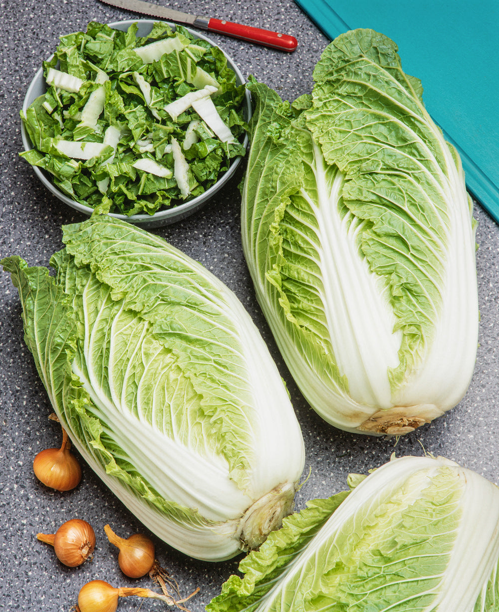 Cabbage - Chinese Nappa Blues F1 Hybrid – Egmont Seeds