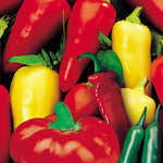 Capsicum Chilli Hot Mix