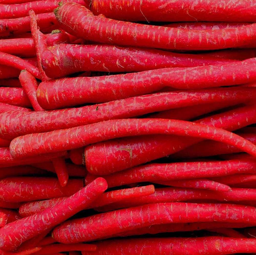Carrot Kyoto Red