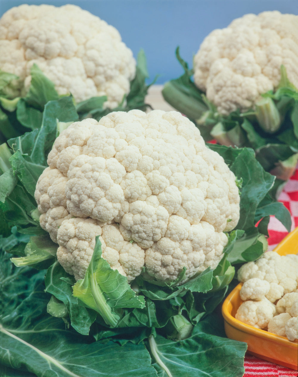 Cauliflower All Year Round