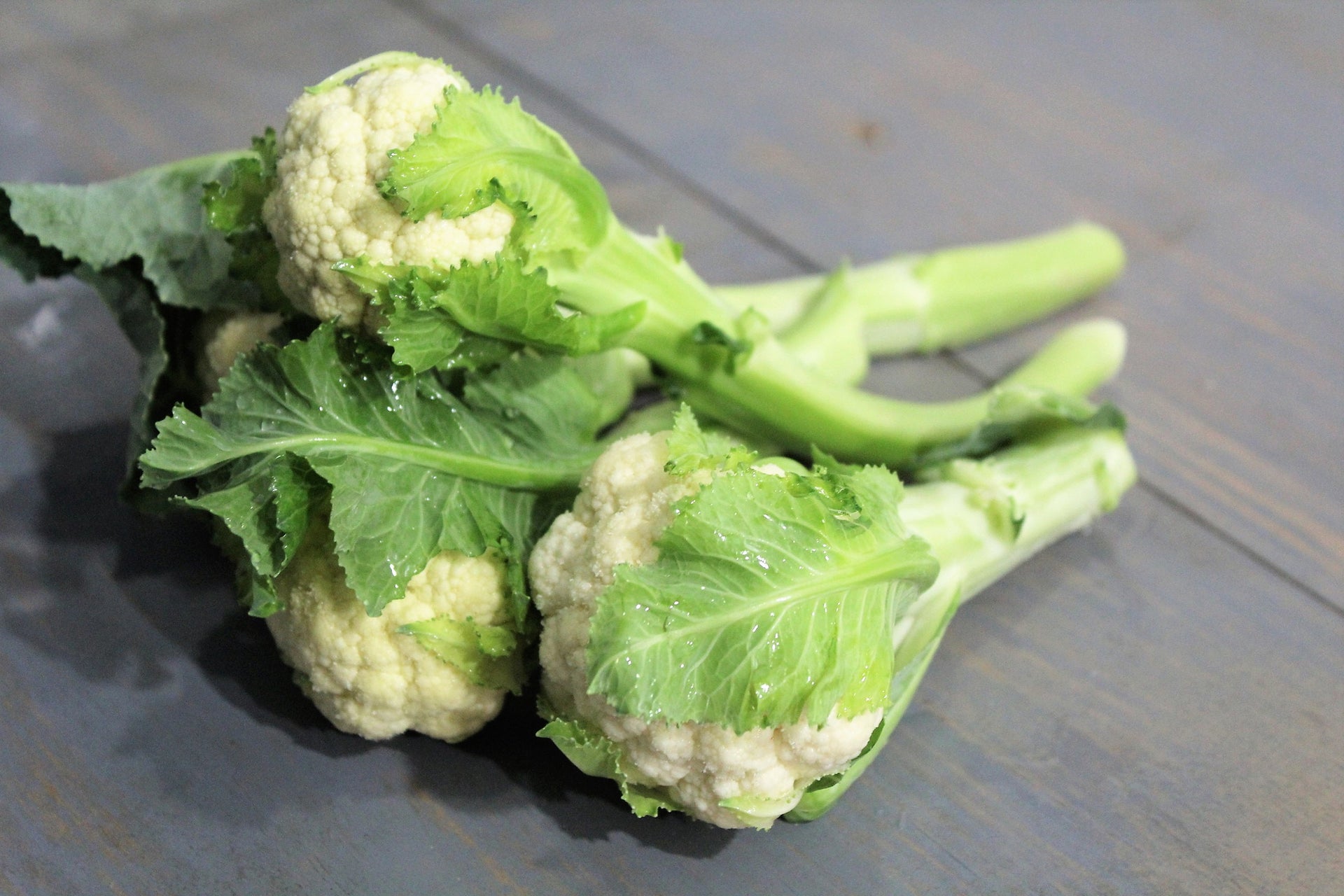 Cauliflower iStem – Egmont Seeds