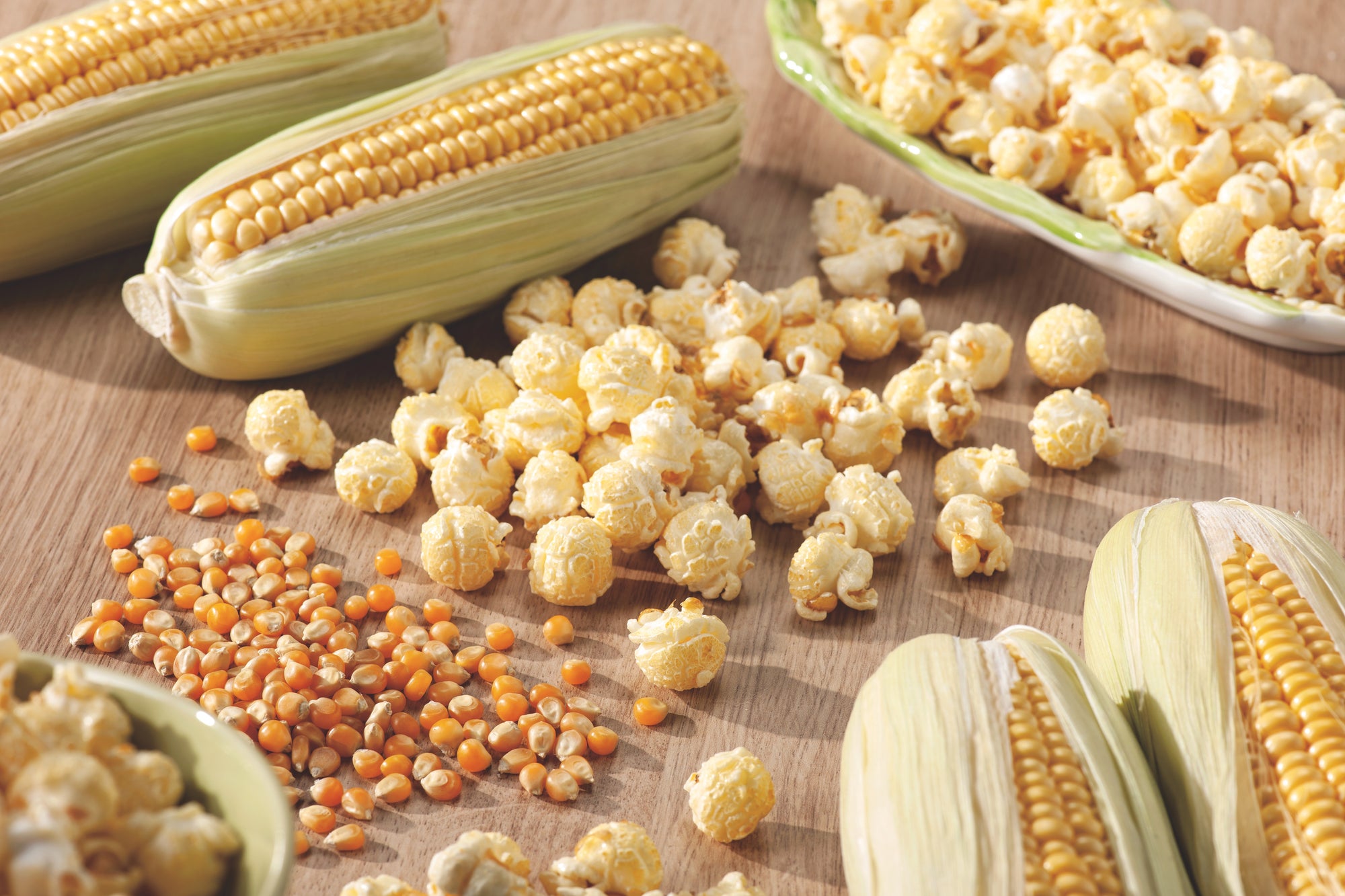 mushroom popcorn seeds for planting Corn Popcorn Mushroom F1 Hybrid – Egmont Seeds