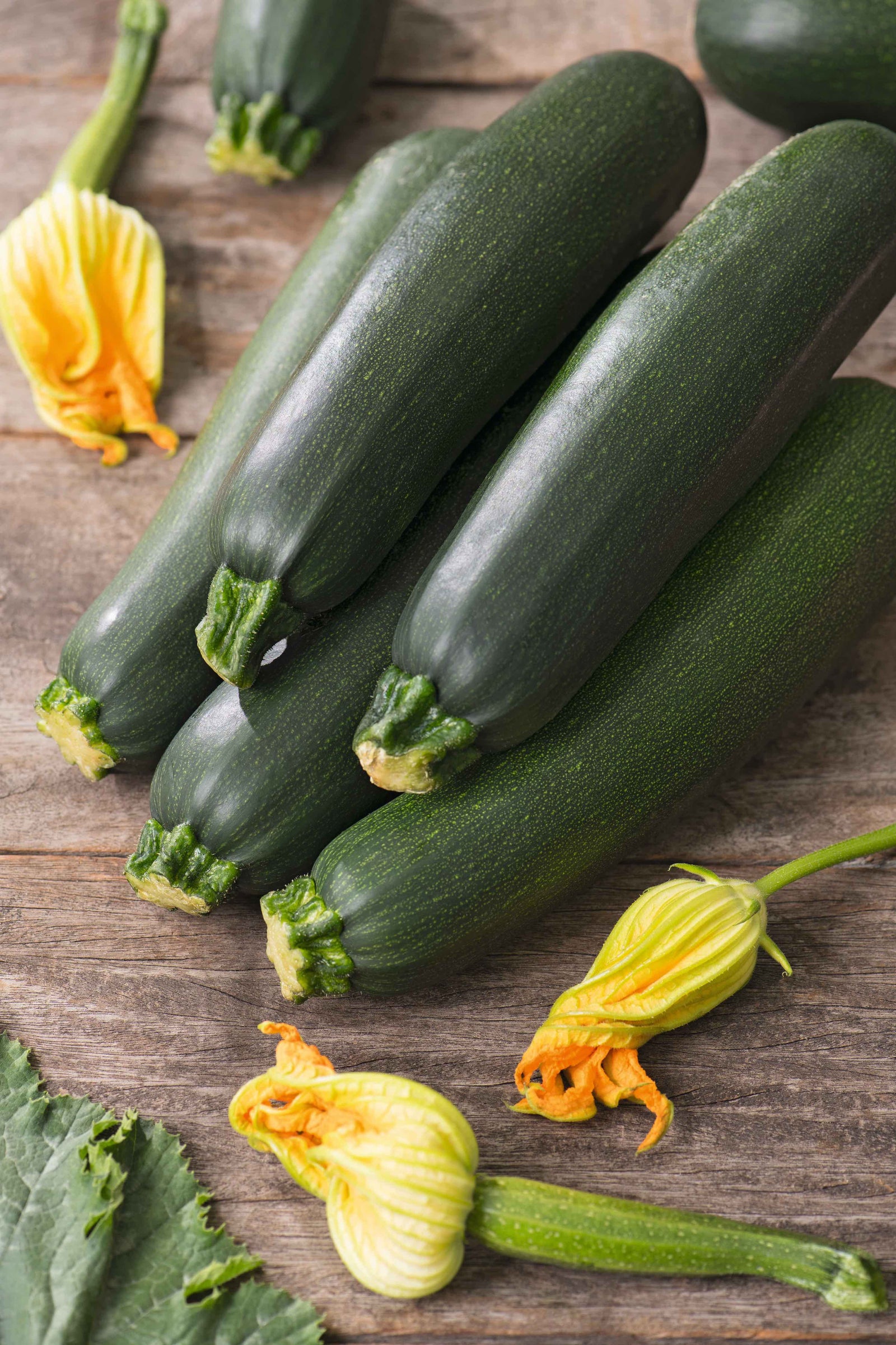 Courgette Black Beauty