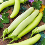 Eggplant Rabi Long Green