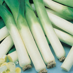 Leek Defiant F1 Hybrid