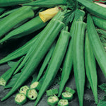 Okra Emerald Green