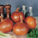 Onion Yellow Sweet Spanish