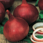 Onion Californian Red F1 Hybrid