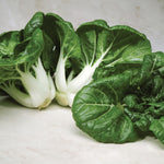 Oriental Mini Toy Choi