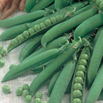 Peas Greenfeast