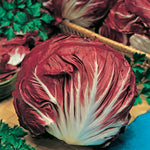 Radicchio Palla Rosa