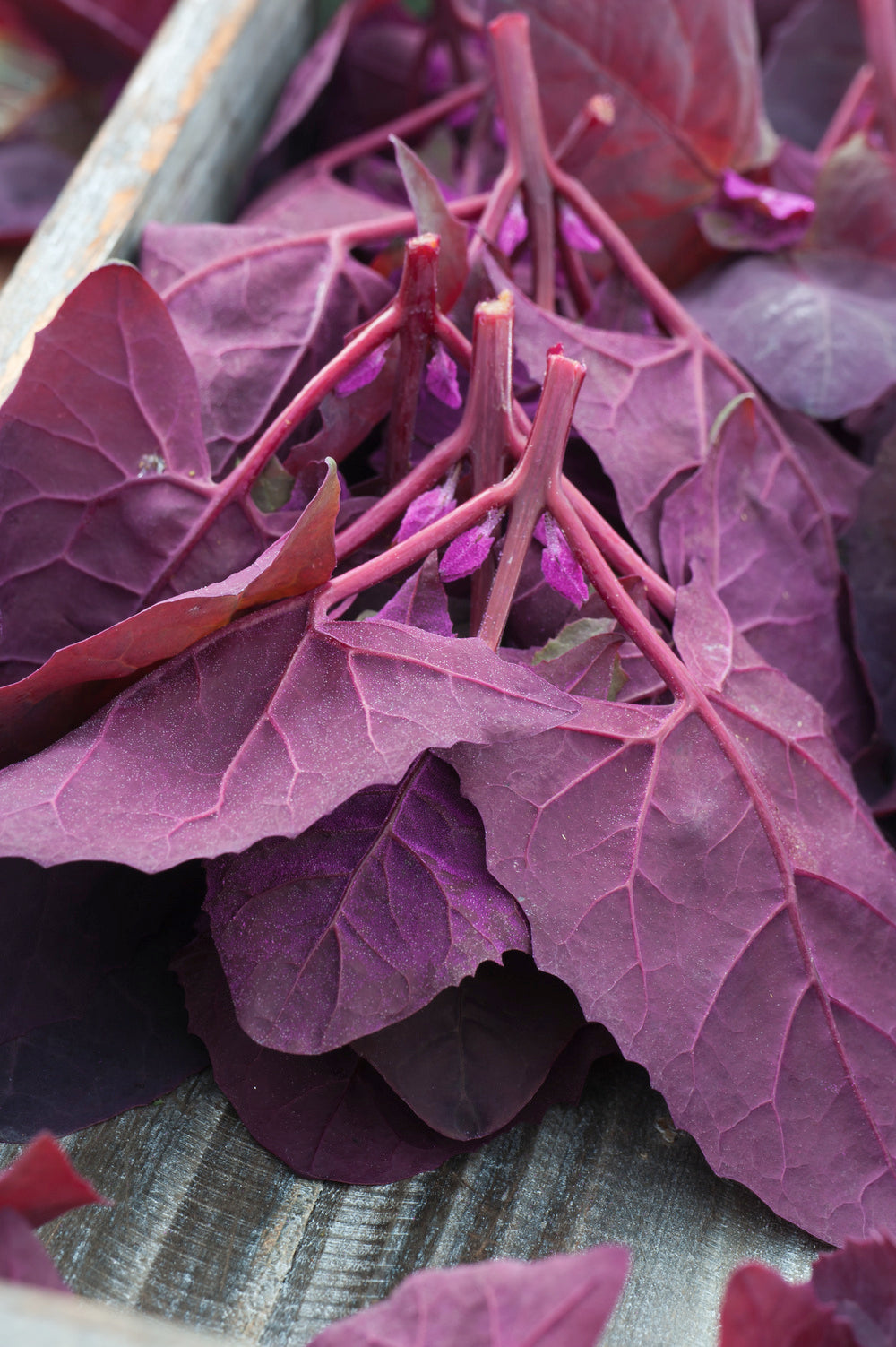 Spinach Orach