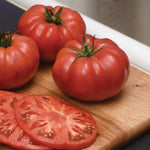 Tomato Dwarf Wonderstar F1 Hybrid