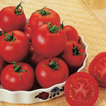 Tomato Heirloom Russian Red