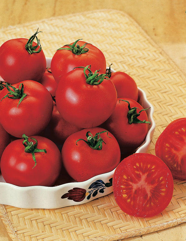 Tomato Heirloom Russian Red