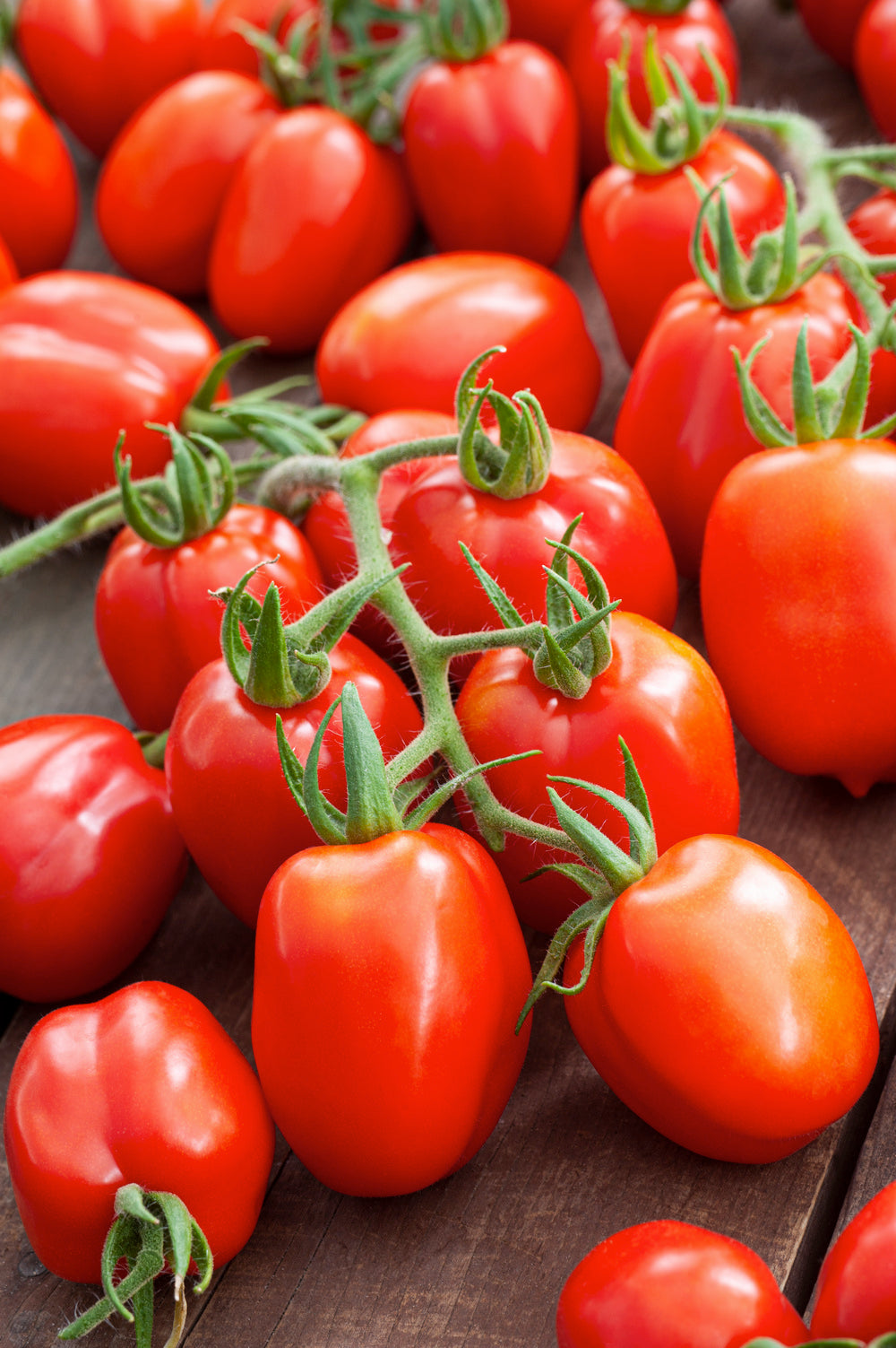 Tomato Roma – Egmont Seeds