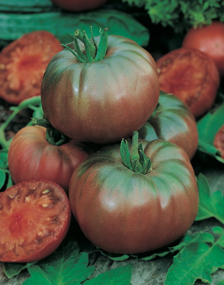 Tomato Heirloom Black Krim