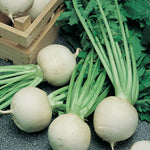 Turnip Tokyo Cross F1 Hybrid