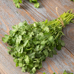 Coriander