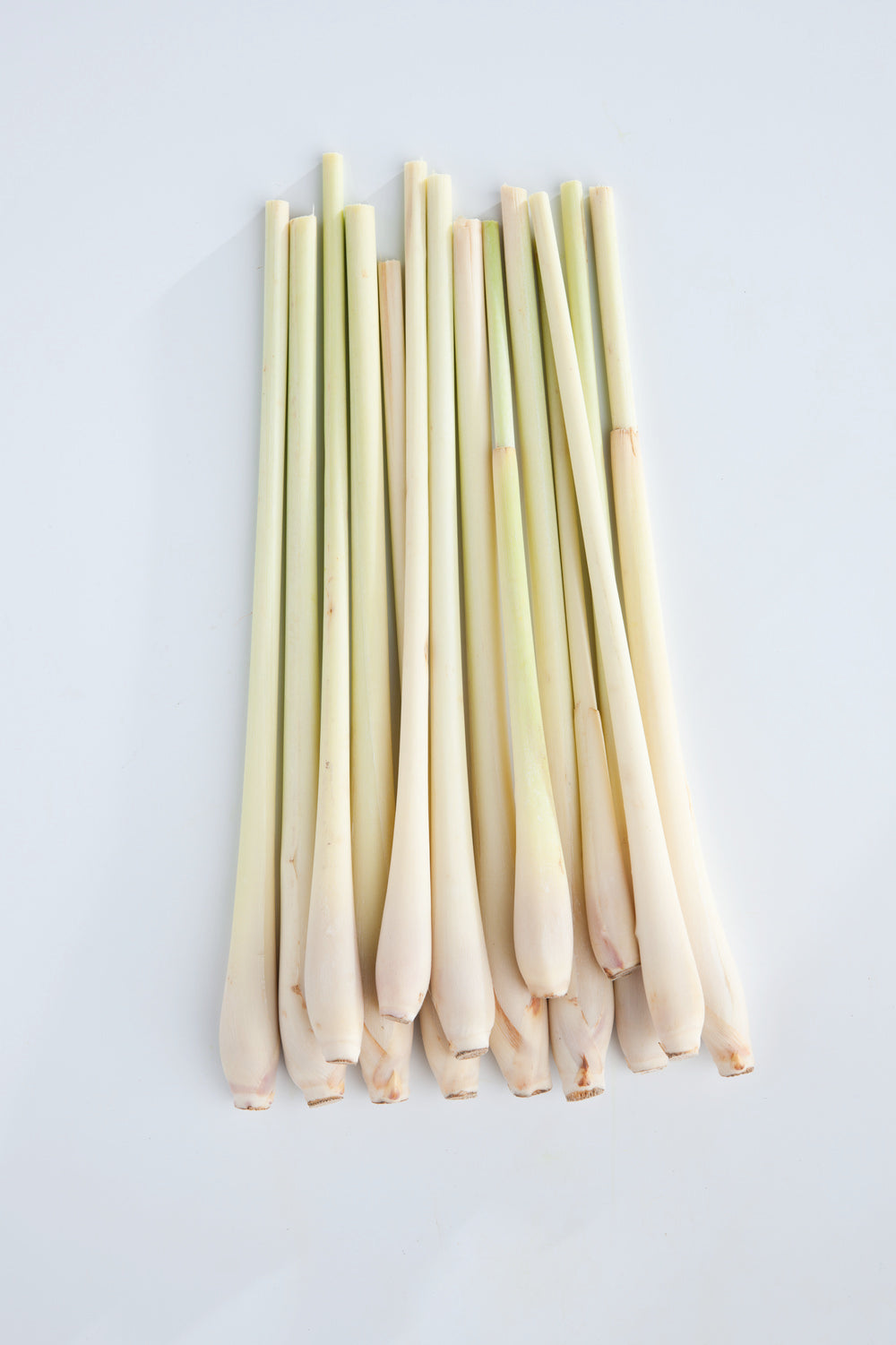 Herb Lemongrass