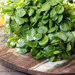Watercress