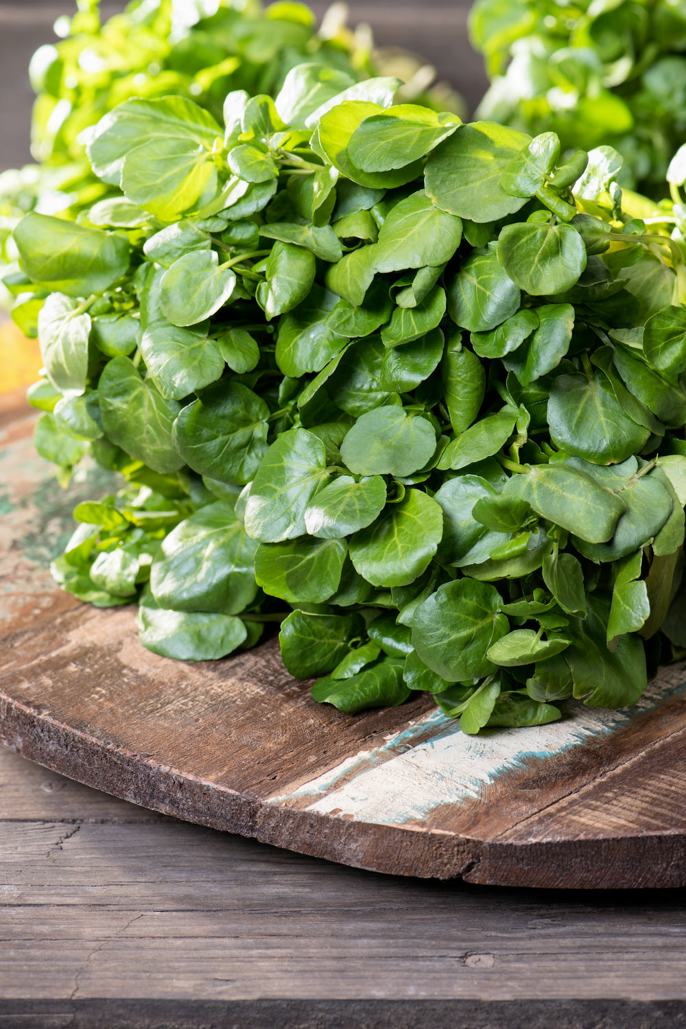 Watercress