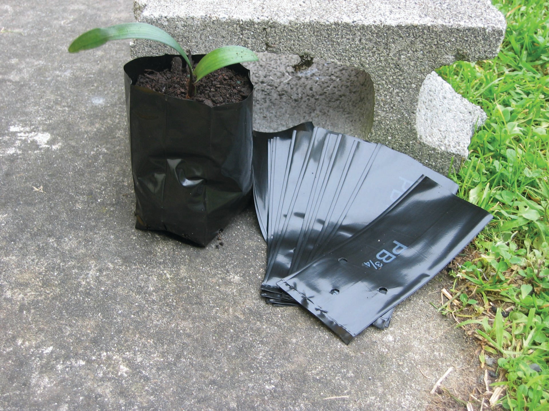 plastic planter bags x100) Planter Bags