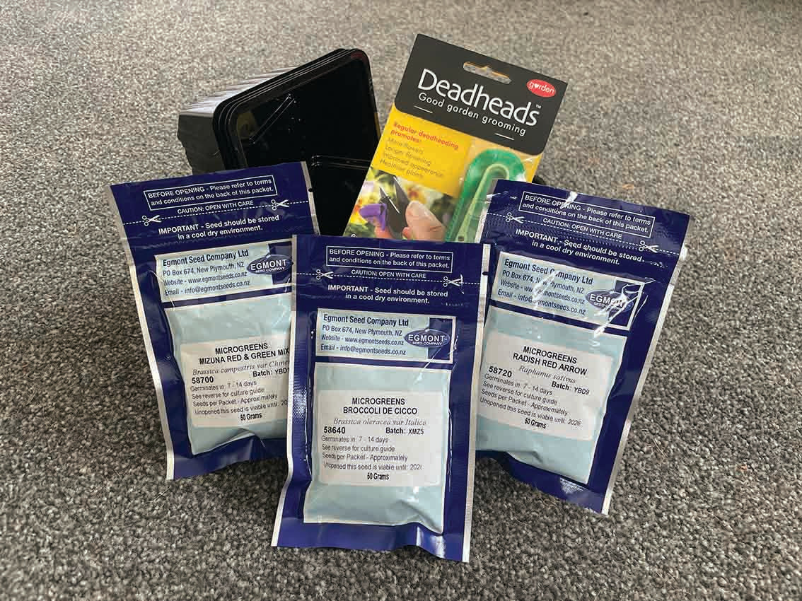 Microgreen Starter Pack PLUS TRAY