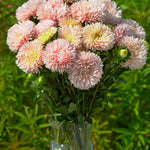 CF04751