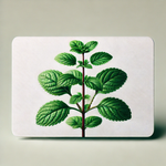 Digital Gift Card (Voucher)