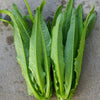 Lettuce Muck Chow