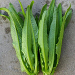Lettuce Muck Chow