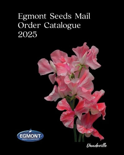 Egmont Seeds Mail Order Catalogue 24th Edition