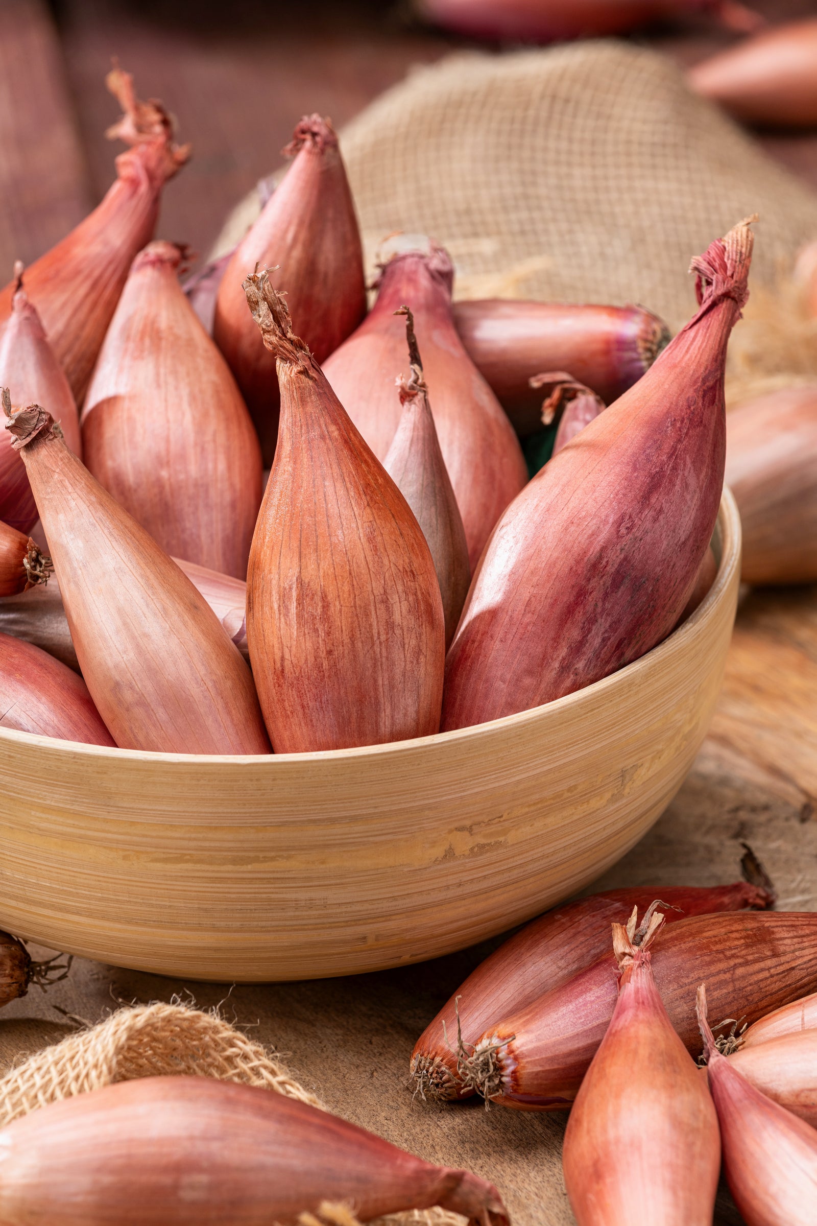 Onion Shallot Conservor F1 Hybrid