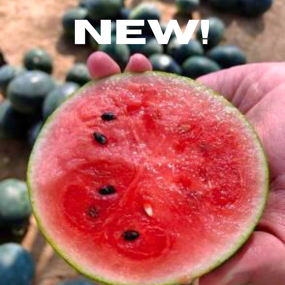 Watermelon Miniball