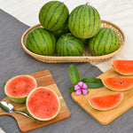 Watermelon Miniball