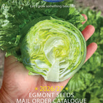 Egmont Seeds Mail Order Catalogue 2026/27: 25th Edition